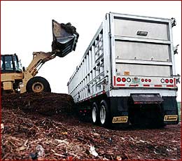 Transfer Trailer